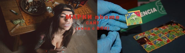 амф Алзамай