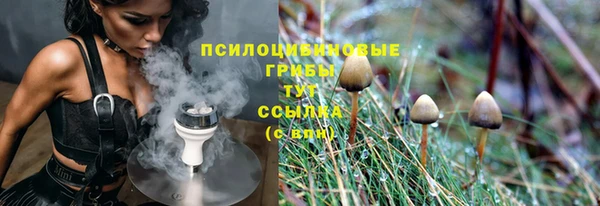 амф Алзамай