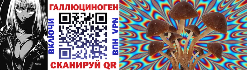 Псилоцибиновые грибы Cubensis  Павловская 